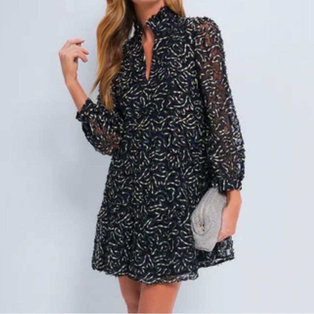 Tuckernuck Organza Mini Dress - NWT